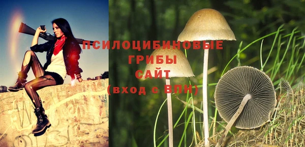 соль ск Кукмор