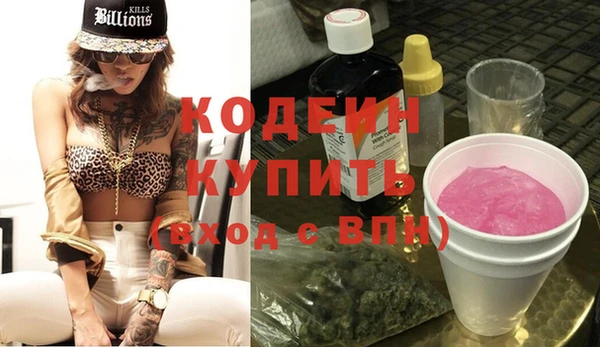соль ск Кукмор