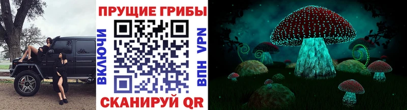 Галлюциногенные грибы GOLDEN TEACHER Купить где Наро-Фоминск